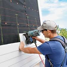 Best Siding Painting and Refinishing  in St Louis, MI